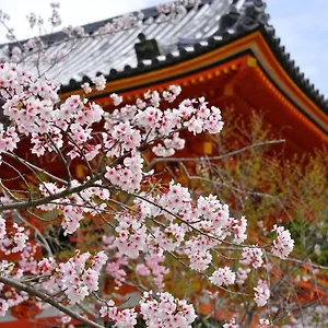 Sakura 祇園北 公寓式酒店