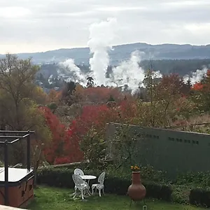 3* 住宿加早餐酒店 Geyser Lookout